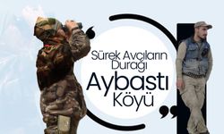 Sürek Avcılarının Durağı: Aybastı Köyü