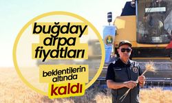 Arpa ve Buğday Fiyatları Beklentilerin Altında Kaldı