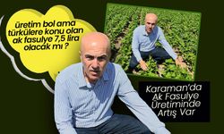 Karaman'da Ak Fasulye Üretiminde Artış