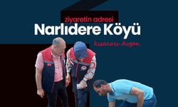 Ziyaretin Adresi Narlıdere Köyü; Avgan