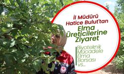 İl Müdürü Hatice Bulut'tan Elma Üreticilerine Ziyaret