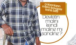 Çobanların Mera ,Kavgası Kanlı Bitti