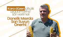 Mısırda Sulama Zamanının  Verimde Önemi