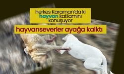 Karaman'da 5 Çoban Köpeğini Katlettiler