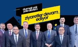 AK Parti Karaman Mv. Osman Sağlam'dan Amsterdam Ziyareti