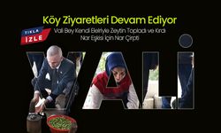 Kendi Elleriyle, Zeytin Topladı,  Kırdı ve  Nar Çirpti