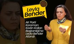 Leyla Bender Kadın Kolları Başkanlığı'na Getirildi