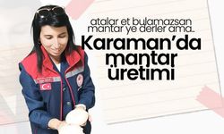 Karaman’da Mantar Üretimi Gelişiyor