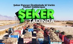 Karaman’da Pancar Hasadı: 290 Bin Ton Teslim Edildi