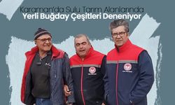 Karaman'da Yerli Buğday Çeşitleri Deneniyor