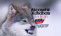 Akçaşehir Kasabası Sakinleri Tedirgin