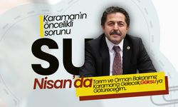 Sağlam; Su Sorunu Karaman İçin Hayat Mabat Meselesi