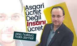 Koz;  ''Asgari Ücret Değil İnsani Ücret ''