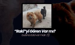 “Raki”yi Gören Var mı?