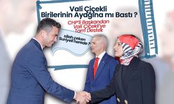 Vali Çiçekli Birilerinin Ayağına mı Bastı ?