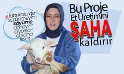 Bu Proje Et Üretimini Şaha Kaldırır