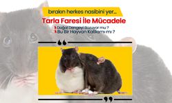 Tarla Faresi İle Mücadele Tartışma Başlattı