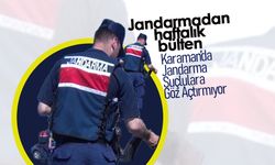 Karaman Jandarmasından Suç ve Suçlulara Geçit Yok!