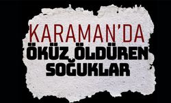 Karaman'da Öküz Öldüren Soğuklar Devam Ediyor