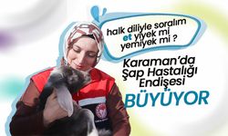 Karaman’da Şap Hastalığı Endişesi Büyüyor