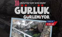 Gürlük Artık Gürlemiyor: Karaman’da Su Kıtlığı Alarmı!