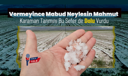Karaman’da Tarım Yine Afetle Sarsıldı: Bu Kez Dolu Vurdu!