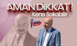 Karaman'da Kene Alarmı ! Aman Dikkat !