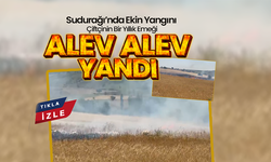 Sudurağı'nda  Çiftçinin Emeği Alevlere Teslim
