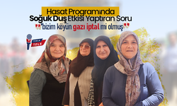 Arpa Hasadında, Doğalgaz Sorusu Gündeme Damga Vurdu