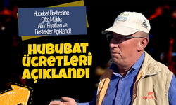 Hububat Alım Fiyatları ve Destekler Açıklandı!