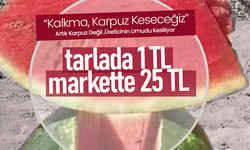 Artık Karpuz Değil ,Üreticinin Umudu Kesiliyor