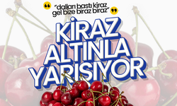 Kirazın Fiyatı Altınla Yarışıyor