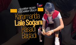 Karaman’da Lale Soğanı Hasadı Başladı
