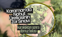 Karaman’da Nohut Üreticisinin Zor Durumda