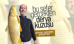 Bu Sefer Gerçekten Derya Kuzusu Yakalandı