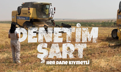 Biçerdöverlerde Sıkı Denetim Şart