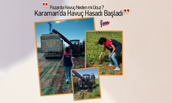 Havuçta Yeni Merkez Kazımkarabekir mi Oluyor? İlk Hasat Yapıldı