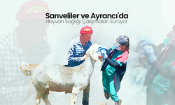 Sarıveliler ve Ayrancı'da Hayvan Sağlığı Çalışmaları Sürüyor