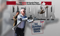 Kınalı Keklikler Yaban Hayatına Kazandırıldı