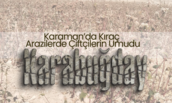 Karaman'da Kıraç Arazilere Bereket Geldi