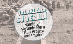 Hamidiye Köyünde Mera Islah Projesi Tamamlandı