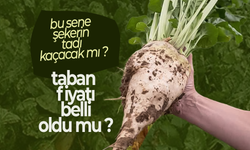 Şeker Pancarı Üreticisinin Gözü Alım Fiyatlarında
