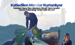 Katledilen Meralar Yeniden Hayata Dönüyor