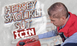 Herşey "Sağlıklı Süt" İçin