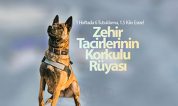 Zehir Tacirlerinin Korkulu Rüyası