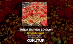 Karaman'da Soğan Skandalı Büyüyor !