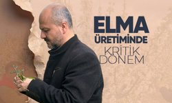 Karamanlı Elma Üreticisine "Yağış" Uyarısı