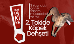 2. Tokide "Belçika Kurdu" Dehşeti