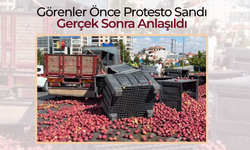 Protesto Değil, Trafik Kazası