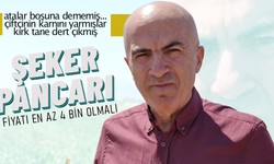 Şeker Pancarında Beklenti En Az 4 Bin TL